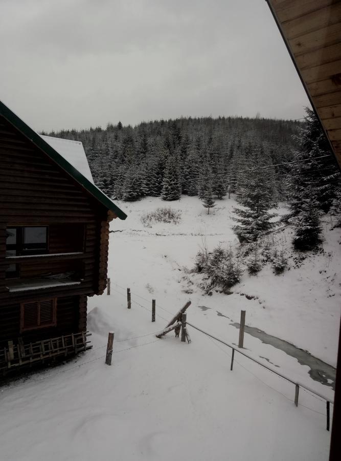 Hotel Wooddream à Volovets Extérieur photo