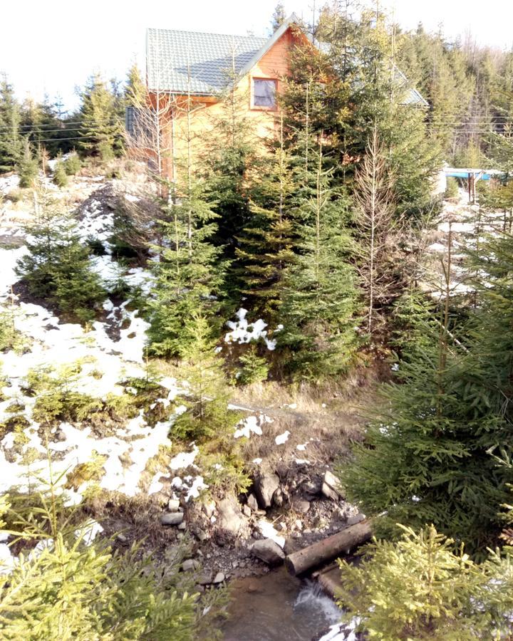 Hotel Wooddream à Volovets Extérieur photo