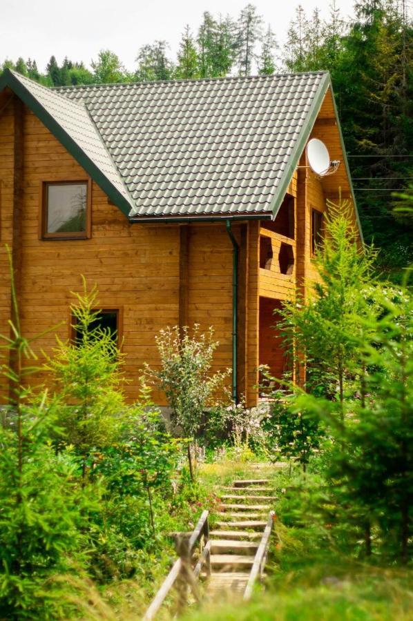 Hotel Wooddream à Volovets Extérieur photo